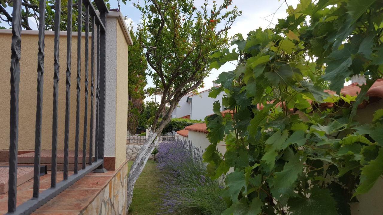 Holiday House Lavanda Vrsi Εξωτερικό φωτογραφία